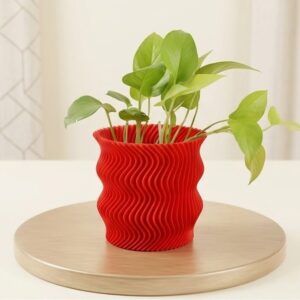 Currrent Planter