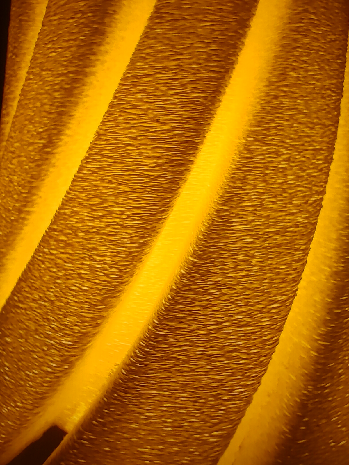 SIVORA LAMP - Image 5